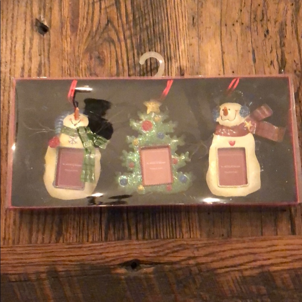 Picture ornaments new